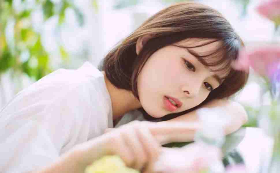 梨园春色